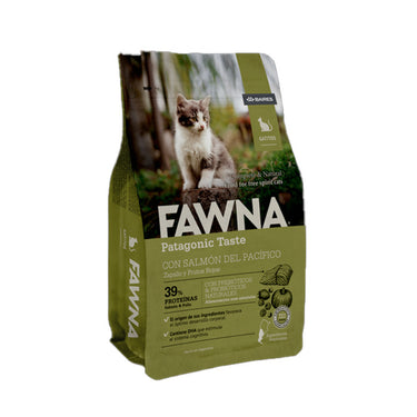 FAWNA Gato Kitten